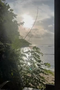 SKINSANE FACE & BODY BAR SOAP 80gr SABUN PENCERAH WAJAH DAN TUBUH HALAL BPOM MEDAN