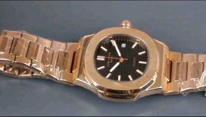 Snille Nautilus N3002G Jam Tangan Pria Elegan Tangal Aktif Strap Rantai Stainless Stell