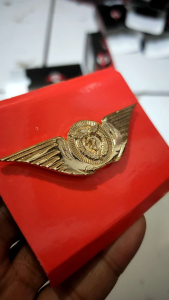 Pin Bros Wing Clip Karantina Kesehatan