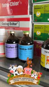 vitol 140 vitamin injeksi lengkap hewan anjing babi kuda sapi peras anjing kucing pedet injectamin