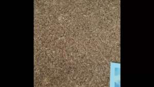 Nota Kolaj Jurnal Gaya Retro/Vintage Journal Collage Notes/复古手帐拼贴便签纸