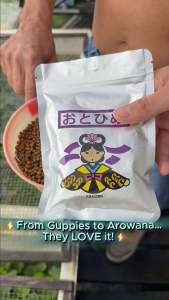[Fish Food] Marubeni Otohime Fish Feed High Protein Growth Pellet Japan Premium Fry Betta Goldfish Oscar Arowana Pet Supplies Pet Food Fish & Aquatic Food