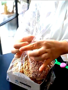 AKPM1234 Klip Pengikat Kantong Plastik Makanan Tali Sealer Penyegel Kantong Plastik Adjustable