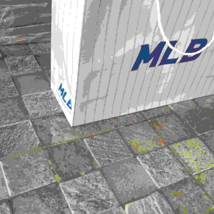 Paper Bag Sepatu MLB