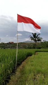 bendera merah putih bendera indonesia semua ukuran