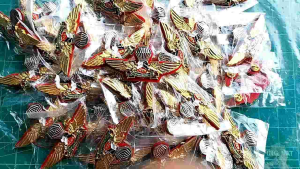 ปีกโดกหอ อผศ.