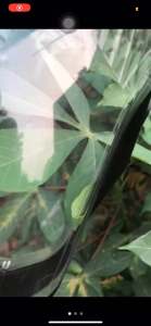 Mika Kaca Lampu Depan Sonic 150 R K56 Original Reflektor