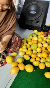Promo Jual Buah Markisa Kuning Matang Fresh Segar TERMURAH-Organik Food