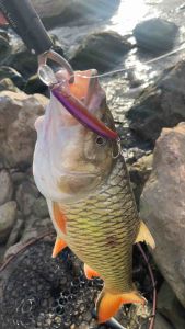 เบ็ด สามทาง 3X JOJO ทรงยาว มี #1 #2 #4 #6 #8 กล่องละ 6 ตัว เบ็ด 3ทาง จำนวน 1 กล่อง ตะขอเบ็ด ตะขอเบ็ดตกปลา อุปกรณ์ตกปลา JOJO Thailand