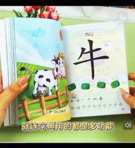 Chinese Character Learning Book for Preschool | Mandarin Pinyin Literacy Book | Early Learning 宝宝学前启蒙识字字典 幼小衔接