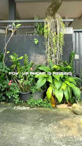 Tas Wanita | Fashion Import | Coralia | Aimeely 2321