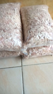 surubuk kayu buat alas hamster