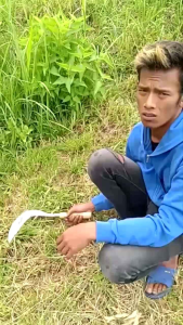 ARIT PADI ARIT RUMPUT ARIT MULTIFUNGSI BAJA MURNI TANPA SAMBUNGAN