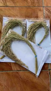 Ketan hitam asli berbulu original utuh perikat-az