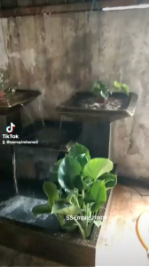 S2 Yellow 5x3 Feng Shui Water Pond Fountain Kolam Air Sandstone Garden Water Feature Balinese 风水流水喷泉瀑布池 Fish Waterfall