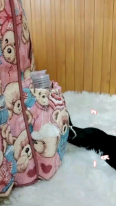 Tas Ransel Wanita & Anak Muda: Tas Ransel Sekolah & Tas Gendong Murah