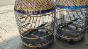 SANGKAR BURUNG MURAH MODEL RAJUT KANDANG PERKUTUT BARONG SINTETIS TERBARU ASLI LOKAL CIANJUR