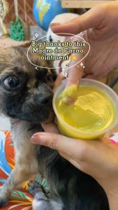 PREMIUM MADRE DE CACAO OINTMENT Healing Ointment for Pets - Flea & Tick Spot Treatment - 3 Sizes - Natural Formula - Veterinary Recommended - Pet Healthcare Product