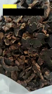 กระชายดำ ตากแห้ง กระชายดำแห้ง กระชายดำอบ