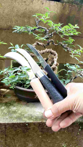 Pisau Okulasi Grafiting Bonsai: Pemahaman & Penggunaan