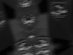 น้ำยาสำหรับทากันมดปีน