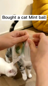 AVOCADO BALL TOY CATNIP KUCING