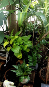 กระเป๋าถือ ทรงถัง ลาย มีลูกค้า ผู้ชาย สินค้าพร้อมส่ง ให้เลือก ที่ไหนดีที่สุด ที่สุดในไทย