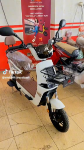 Sepeda Listrik E-Bike Pasific AGATHOS AE 370 Pro Nfc Terbaru Bergaransi Resmi Sepeda Listrik Murah E-Bike Murah Untuk Remaja Sepeda Listrik Dengan Bahan Besi - Lazada