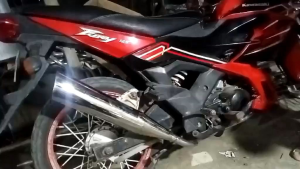 FURY 125 NEW BREED CHICKEN PIPE TATAK APIDO
