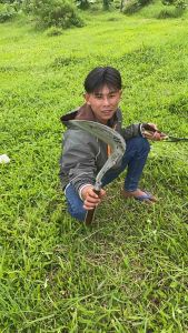 Arit Rumput Cap Najwan Produksi Arit Dewi Bintang