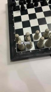 PAPAN CATUR LIPAT PLASTIK S M L XL MURAH BERKUALITAS /FOLDING CHESS BOARD GAME