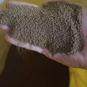 1 Kg Thức Ăn Cá (0.5 mm) Cho cá size cá 7 màu trở lên viên nổi cho cá như:7 màu betta guppy sặc gấm ngựa vằncá vàng 3 đuôi neon Hồng két cá dĩa đuôi kiếm…hạt thức ăn trong và nổi trên mặt nước