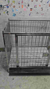 pure stainless 304 dog cage 2×3×3 plastic pooptray 1door