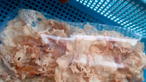 PEYEK UDANG RENYAH ISI 7 DALAM SATU PLASTII KHAS JOGJA BAHAN ALAMI