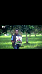 Plant Catalyst 2006 75 kg Pupuk Yang Kandungan Unsur Haranya Lengkap