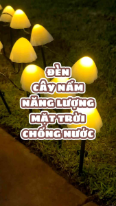 Đèn LED Cây Nấm 100 Bóng Năng Lượng Mặt Trời Trang Trí Nhà Sân Vườn Ban Công Đường đi