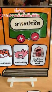 สื่อการสอนวิทย์ จับคู่ภาวะความสัมพันธ์สิ่งมีชีวิต ป.5 ม.3