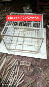 kandang jemur merpati indukan