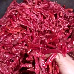 cabe kering teja PREMIUM Grade A 1kg super