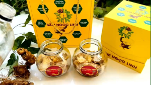 Sâm Ngọc Linh tươi ngâm mật ong