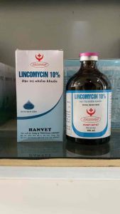 LINCOMYCIN 10% 100ml hanvet dung dịch tiêm viêm khớp viêm da tụ huyết trùng ho tiêu chảy trên lợn gà trâu bò dê cừu