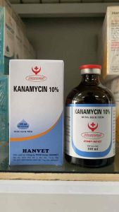 KANAMYCIN 10% 100ml hanvet dung dịch tiêm tụ huyết trùng viêm khớp viêm da viêm ruột-ỉa chảy trên gà lợn trâu bò chó