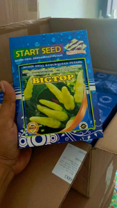 Benih Cabe Rawit Gerombol BIGTOP Kemasan 10gram (Isi 2000 Benih) Tahan Layu Tahan Virus Buah Lebat