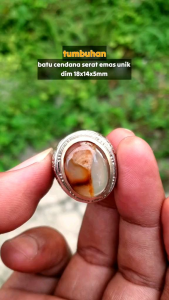 Batu Cendana Serat Emas Unik | COD Bisa | Cincin Batu Akik Ring 5-10