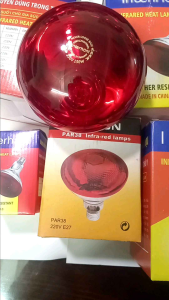 Bóng úm sưởi cho gia súc gia cầm các loại