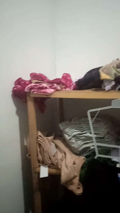 Legging Anak Perempuan Tebal Murah Panjang Polos Import 1-13 Tahun Lejjing Wanita Lejjing Panjang Bayi Cewe Lejjing Short Celana Anak