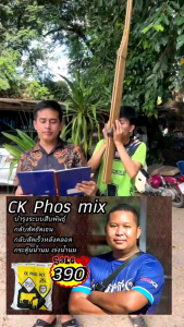 💥CK Phos mix ซีเคฟอสมิค ผสมกับอะไรก็ได้ประโยชน์💥 🐮บำรุงระบบสืบพันธุ์ กลับสัดชัดเจน