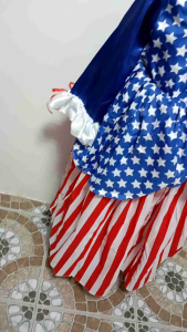 USA Costume for Kids