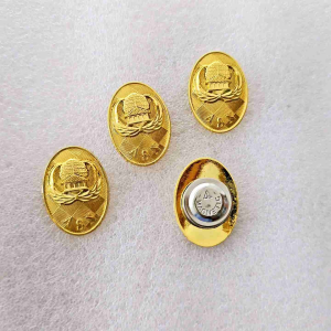 Pin Korpri Asn Oval Magnet Batik