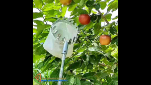 Jaring Petik Buah Mangga / Jaring Net Pemetik Buah / Fruit Picker Collection Head 14 cm - A48